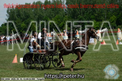 Mintakép 20260531-1513