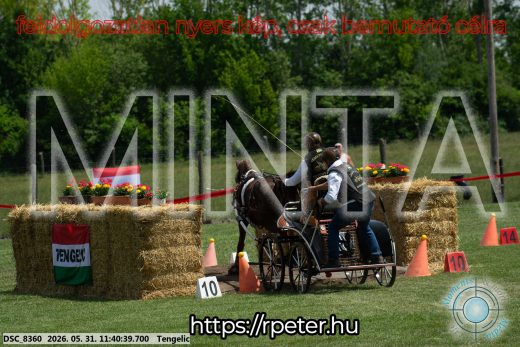 Mintakép 20260531-1517