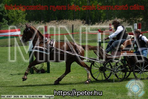 Mintakép 20260531-1523