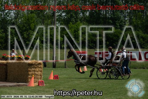 Mintakép 20260531-1527