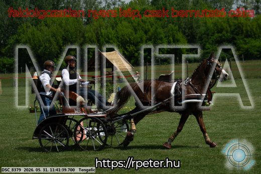 Mintakép 20260531-1532