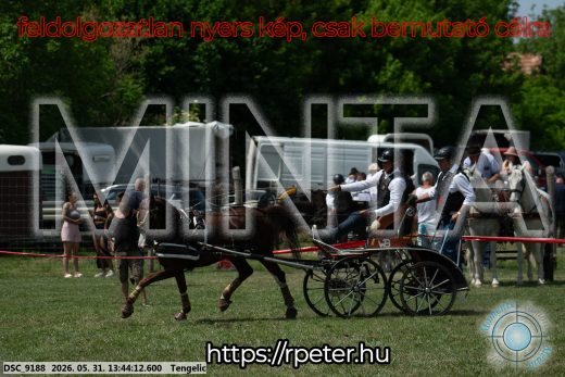 Mintakép 20260531-1536