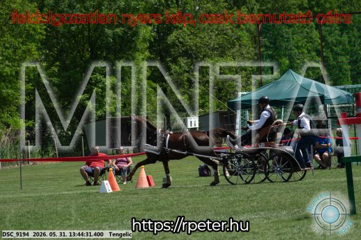 Mintakép 20260531-1539