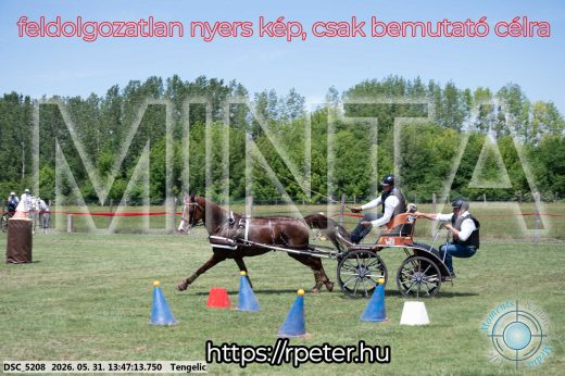 Mintakép 20260531-1563