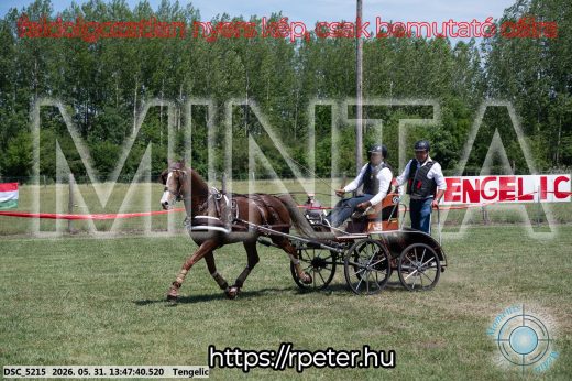 Mintakép 20260531-1565