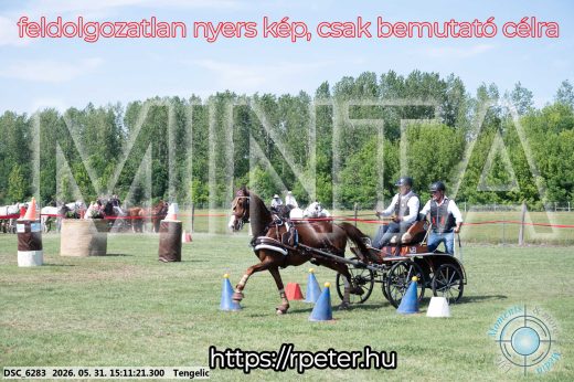 Mintakép 20260531-1570