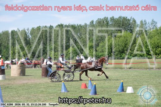 Mintakép 20260531-1571