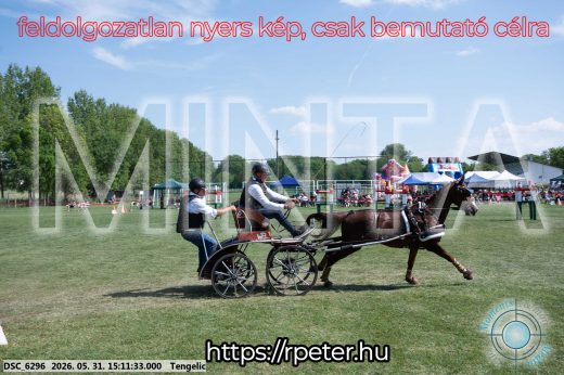 Mintakép 20260531-1574