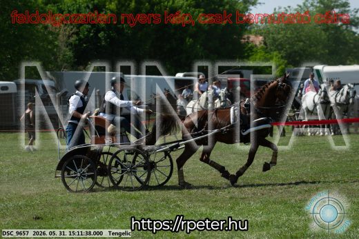 Mintakép 20260531-1577