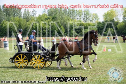 Mintakép 20260531-1590