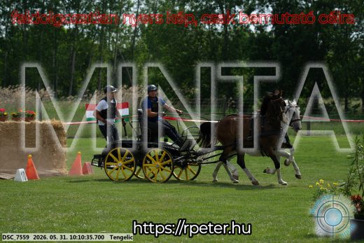Mintakép 20260531-1598