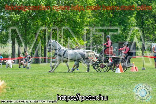 Mintakép 20260531-1618