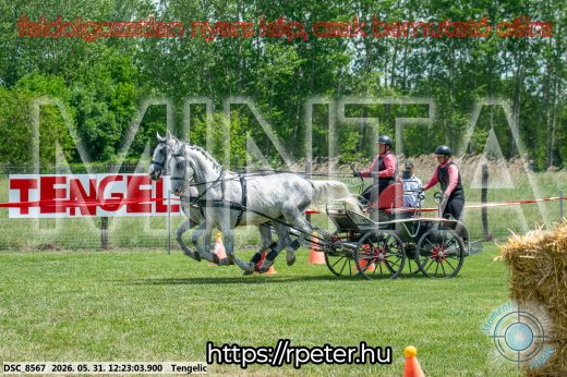 Mintakép 20260531-1619