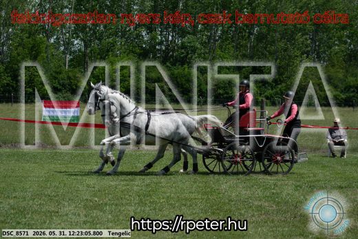 Mintakép 20260531-1623