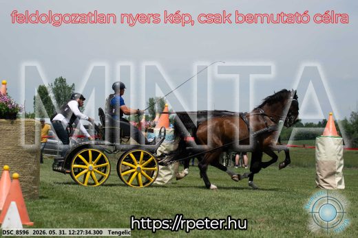 Mintakép 20260531-1639
