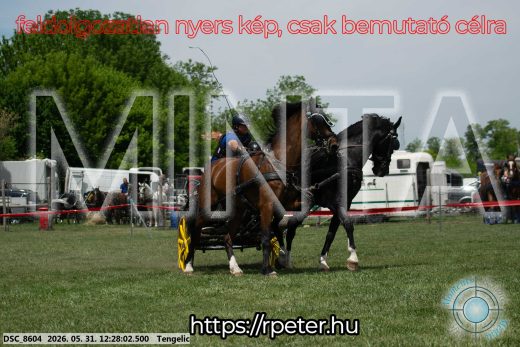 Mintakép 20260531-1647