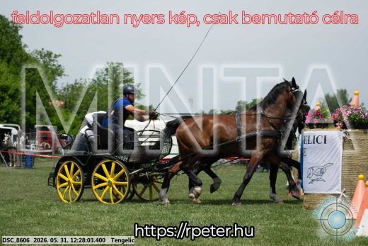 Mintakép 20260531-1649