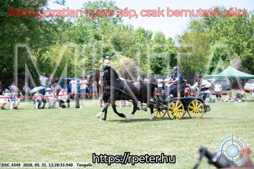 Mintakép 20260531-1651