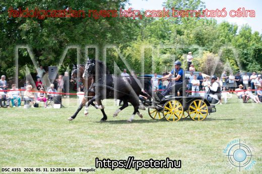 Mintakép 20260531-1653