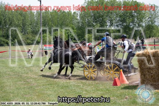 Mintakép 20260531-1660