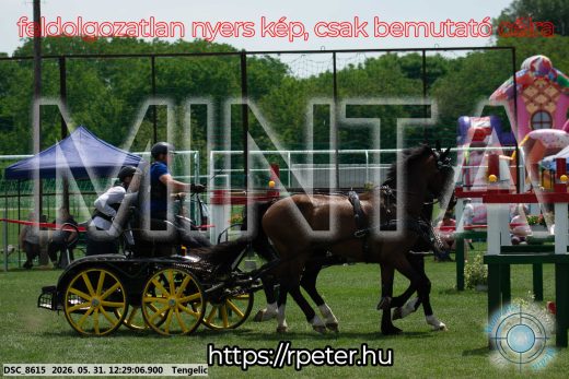 Mintakép 20260531-1666