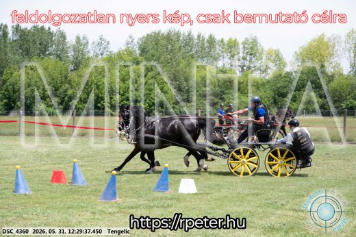 Mintakép 20260531-1670