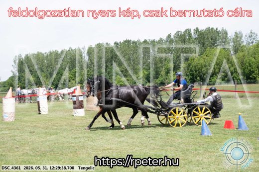 Mintakép 20260531-1671