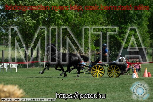 Mintakép 20260531-1678