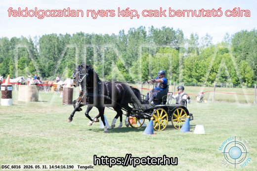 Mintakép 20260531-1680