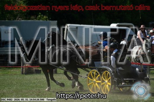 Mintakép 20260531-1684