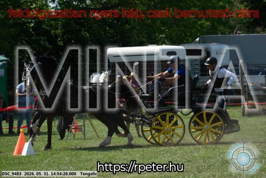 Mintakép 20260531-1687