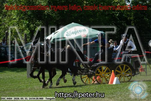 Mintakép 20260531-1688