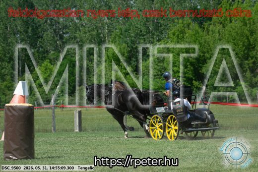 Mintakép 20260531-1700