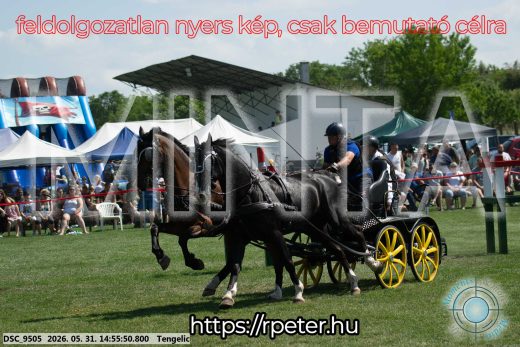 Mintakép 20260531-1712