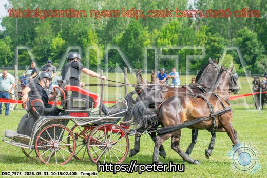 Mintakép 20260531-1724