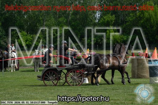 Mintakép 20260531-1725