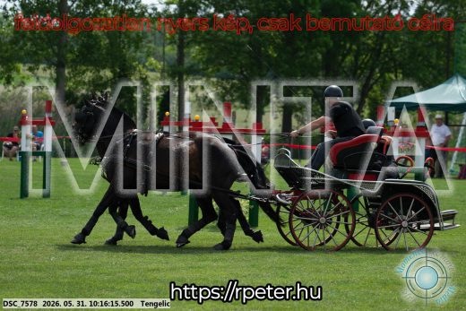 Mintakép 20260531-1729