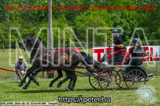 Mintakép 20260531-1741