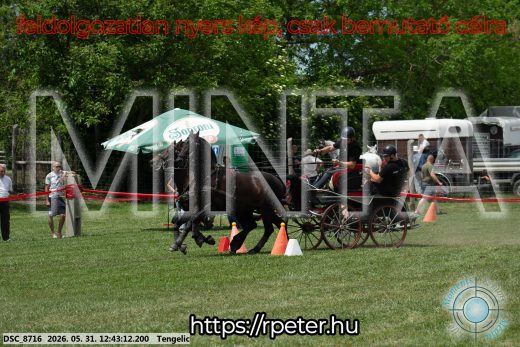 Mintakép 20260531-1748