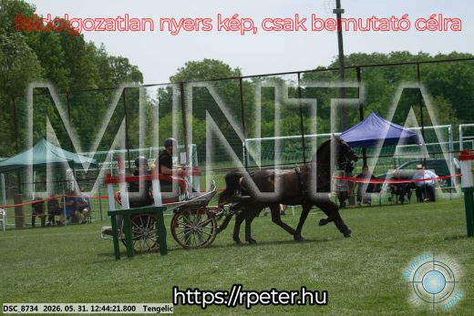 Mintakép 20260531-1764
