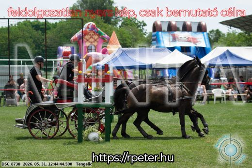 Mintakép 20260531-1767