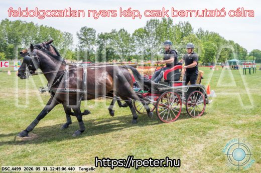 Mintakép 20260531-1769