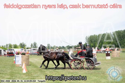 Mintakép 20260531-1774