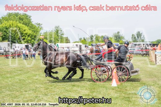 Mintakép 20260531-1777