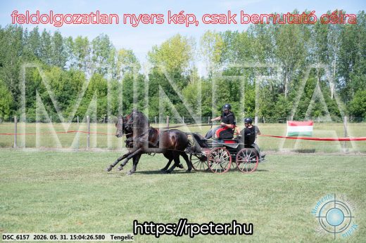 Mintakép 20260531-1781