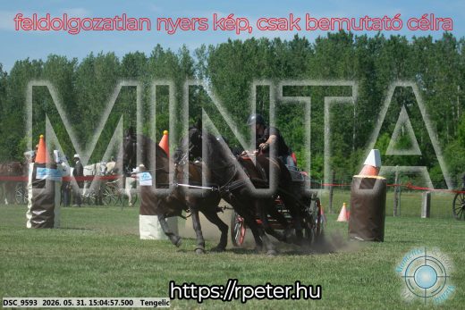 Mintakép 20260531-1788