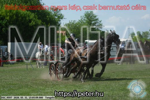 Mintakép 20260531-1791