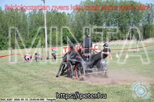 Mintakép 20260531-1799