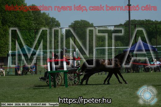 Mintakép 20260531-1803