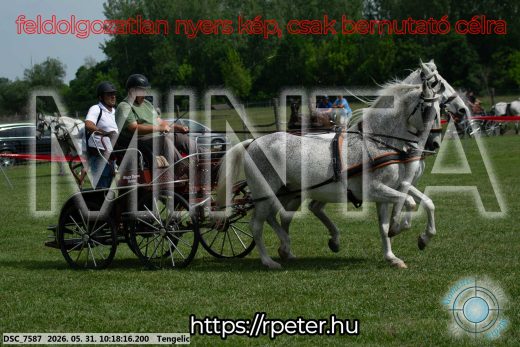 Mintakép 20260531-1815